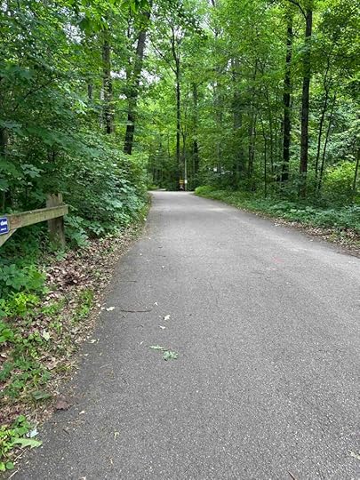 road at the entrance
