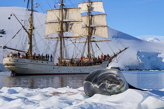 Three-masted tall ship Bar Europa in Antarctica