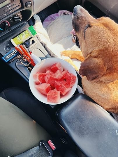 Let It Be Sunday, 470!