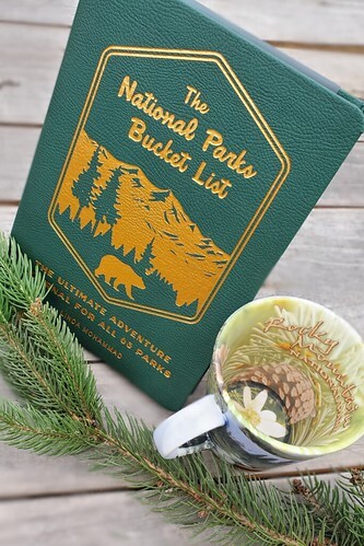 Read This: The National Parks Bucket List: The Ultimate Adventure Journal