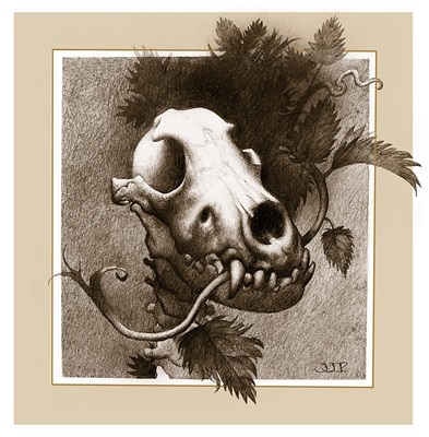 nettle_bone5