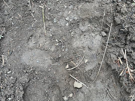 This image has an empty alt attribute; its file name is img_8443.jpeg