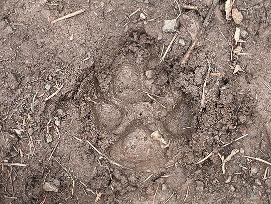 This image has an empty alt attribute; its file name is img_8446-2369312072-e1716765023608.jpeg