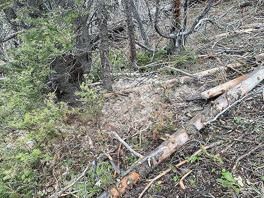 This image has an empty alt attribute; its file name is img_8444.jpeg