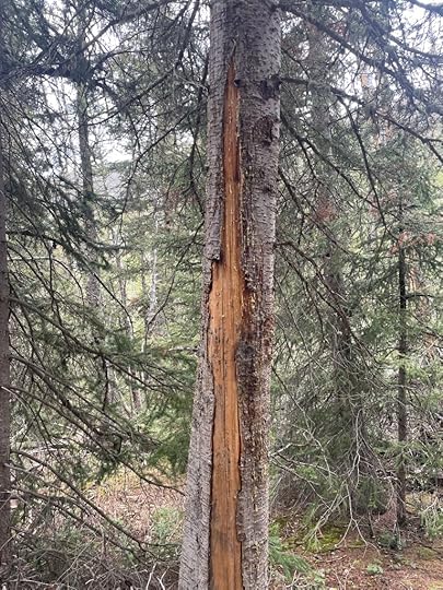 This image has an empty alt attribute; its file name is img_8445.jpeg