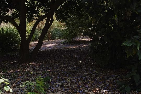 #424: Concentrated Intensity