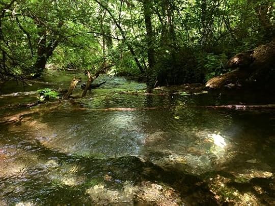 Паолина Чакърова: Дяволската пътека - да преодолееш страха си