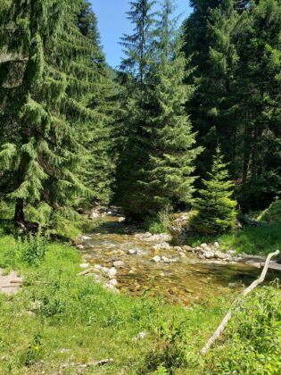 Паолина Чакърова: Дяволската пътека - да преодолееш страха си