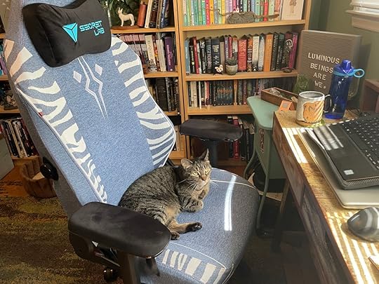 A Secretlab TITAN Evo gaming chair with a blue Ahsoka Tano SKINS cover sitting in front of a desk and bookshelf with a tabby cat sitting in it