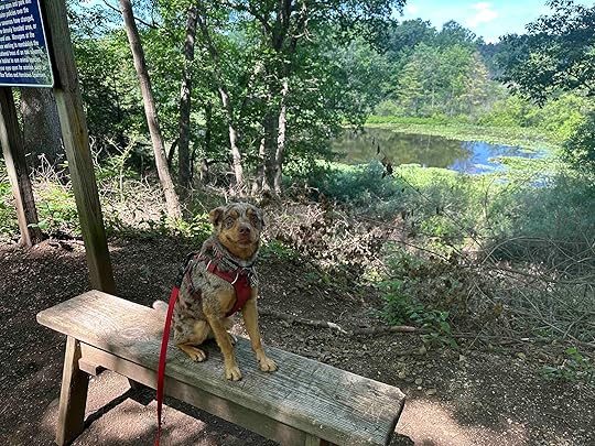 MacCready Nature Reserve