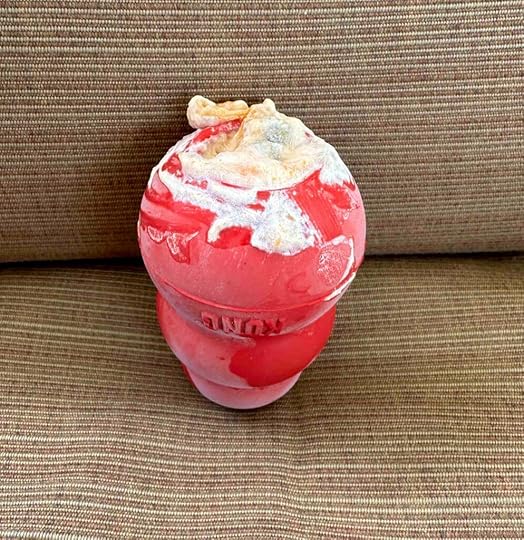 kong filled with yogurt, sweet potatoes, and kibble