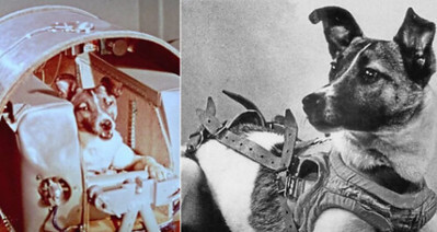 Screenshot 2024-06-28 151244