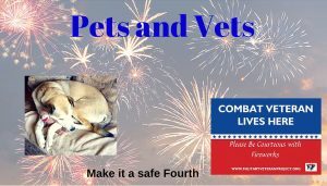 image of a dog and fireworks 