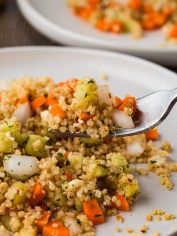 Quinoa salad on a white plate being placed on a fork to take a bite.