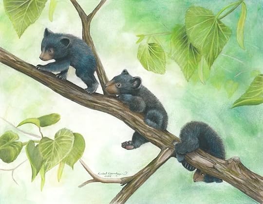 Three black bear cubs climb a tree branch