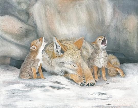 Little coyote pups howl as their mother tries to sleep