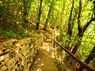 Nature Walk to Bre from Monte Bre