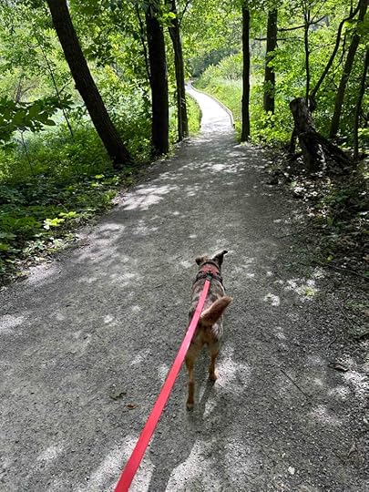 on the trail at Pine Knob County Trail