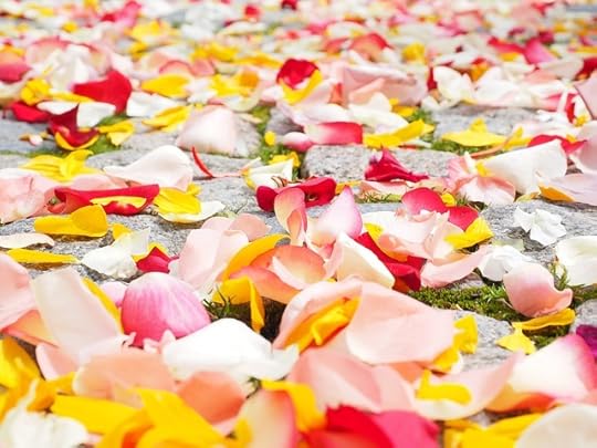 Scattered rose petals in pink, yellow, and white, over green grass