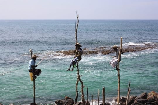 Three stilt fisherman in Weligama, Sri Lanka