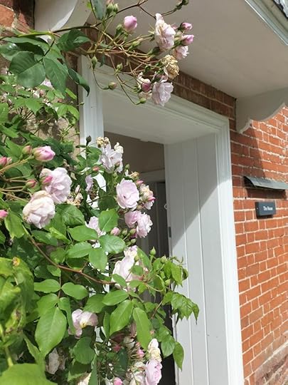 Roses around the door of Chawton Cottage