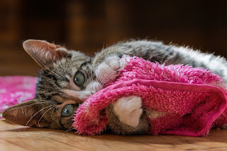 Mine.