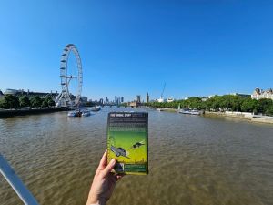 picture of a book cover featuring a few of the Thames with the same view of the thames in the background