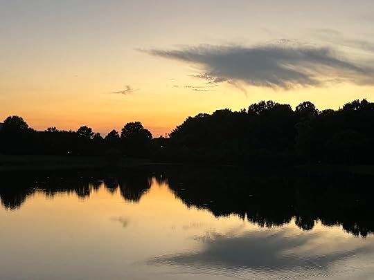 a body of water with trees in the background