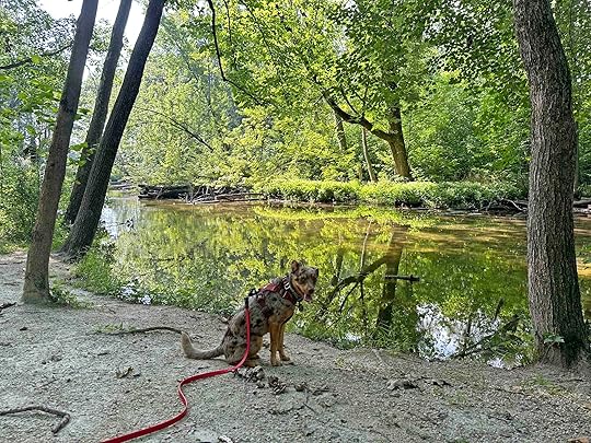 Sunny along the Elkhart River at Delt Church Park