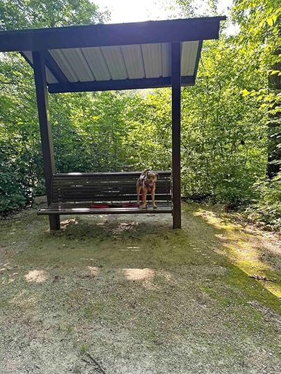 bench at Delt Church Park