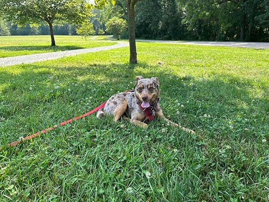 resting in the shade at Delt Church Park