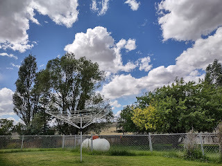 Partly cloudy sky, with patches of blue. Large trees of a backyard, standing behind a brown wood fence. In the foreground, green lawn and a chain link fence