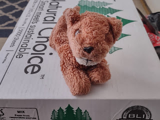 A ratty, old stuffed lion (with no mane) and only one eye, placed atop a box