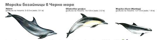 Бозайниците в Черно море