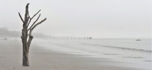 fog on ocean and sand