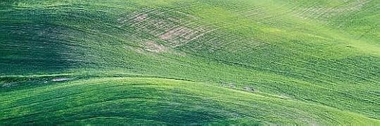 Recensione di Marguerite è stata qui di Eugenio Murrali