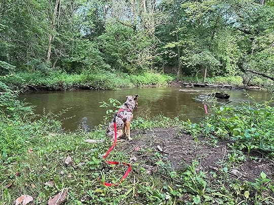 Elkhart River at Riverbend Park in Middlebury, Indiana