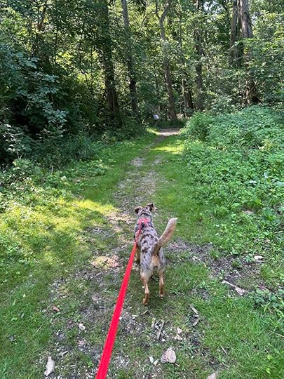 start of the Riverbend park trail