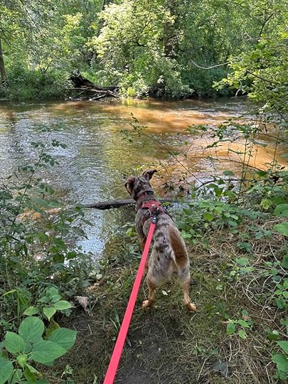 checking out the Elkhart River