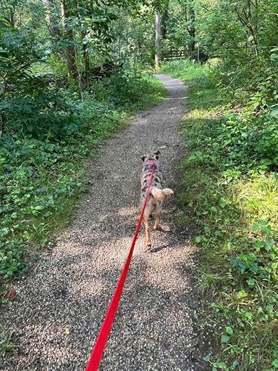 on the trail at Riverbend Park