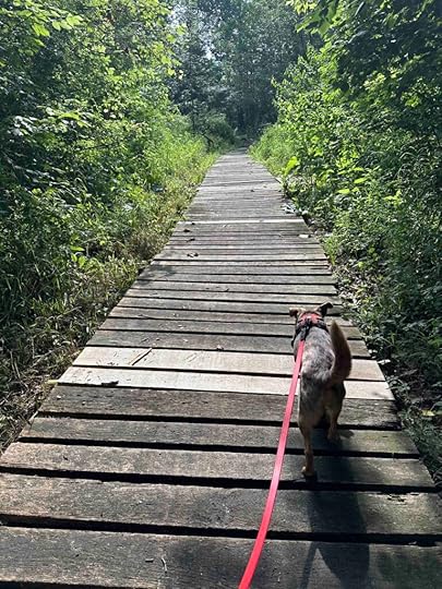 boardwalk at Riverbend Park