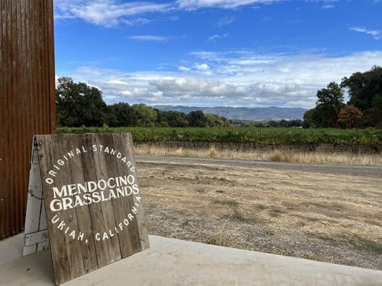 A field of grapevines viewed from Mendocino Grasslands, a working cannabis farm adjacent to Yokayo Ranch. (Adam Tschorn/Los Angeles Times/TNS)