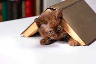 If it fits, it's mine.