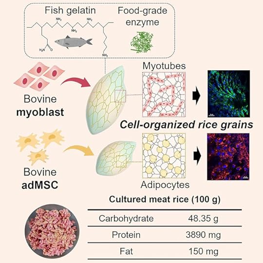 Futurist Speaker Thomas Frey Blog: The Science Behind Beef-Infused Rice