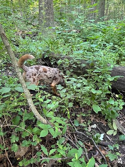 smelling all the good smells