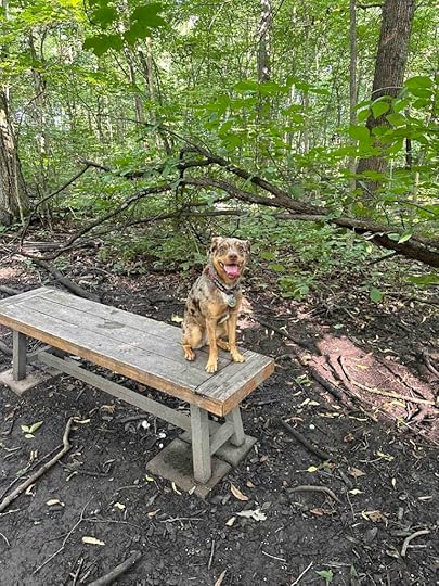posing on bench at Fido's Forest