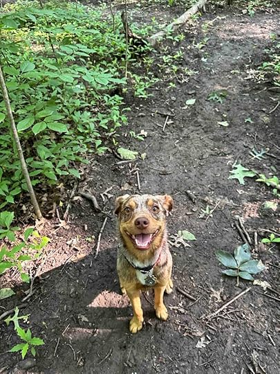 all smiles at Fido's Forest