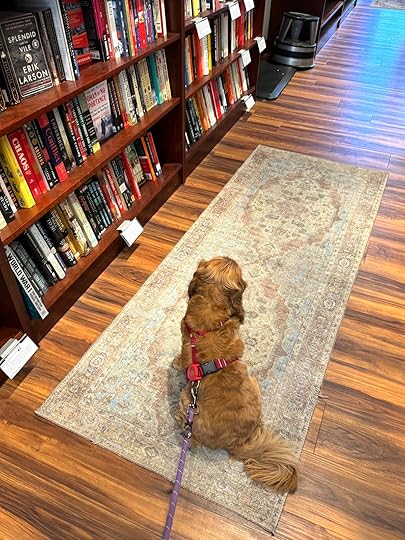 Nellebookshopgazinghallway
