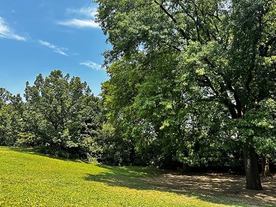 Trees