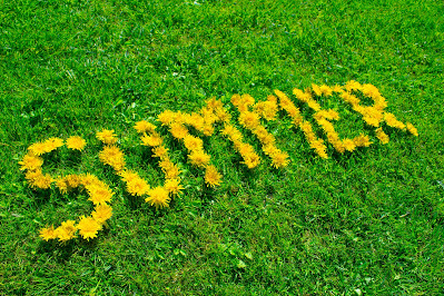 Licensed through Adobe Stock, summer written by yellow dandelion flowers on the background of green grass. By Artem